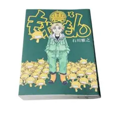 限定版 もやしもん 13巻 石川雅之 著 初版 - メルカリ