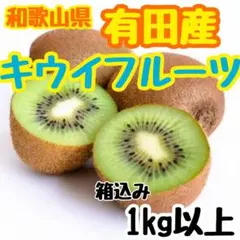 5 和歌山県 有田産 国産キウイフルーツ 箱込み1kg以上