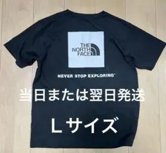 [美品]THE NORTH FACE メンズブラックTシャツ　Ｌサイズ