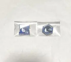 鬼滅の刃　キャラクターモチーフピンズ ピンバッジ　冨岡義勇