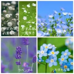 ひまわり様 リクエスト 2点 まとめ商品