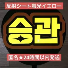 スングァン うちわ文字 ネームボード 完成品 反射シートのサムネイル