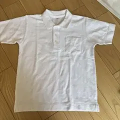 Item thumbnail for item f0e745e1-85c3-4667-b1f8-6061ad911b44