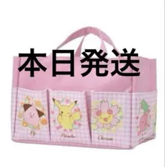 ポケットモンスター　プラチナムザッカ ポケット付 収納バッグ ピンク