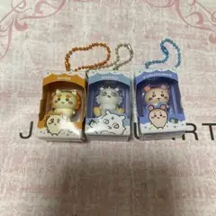 ちいかわ　チョコボックス　シーサー　あのこ　古本屋