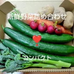 [효고현 생산] 신선한 야채 모듬 오이 감자 당근 컴팩트 박스