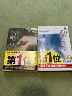 沼田まほかる２冊セット