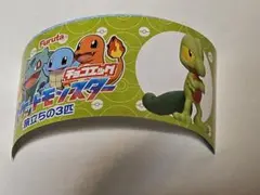 ポケモン チョコエッグ　旅立ちの3匹　キモリ様