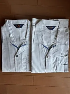 Item thumbnail for item a9f83a57-81e1-488f-b405-5049a006cb17