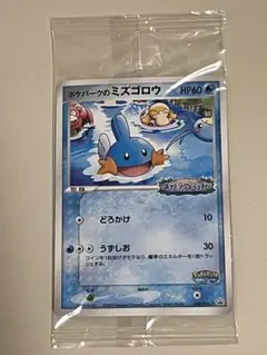 2026年最新】ポケパークのミズゴロウの人気アイテム - メルカリ