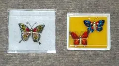 マニア向け煌びやかな蝶デザインのブローチ３点セット