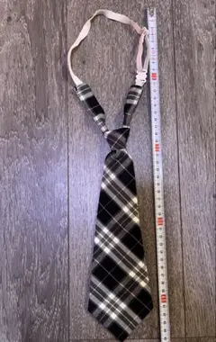 【良品】プリーツスカートとネクタイセット　150 春服