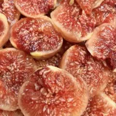 2026年最新】いちじく 穂木の人気アイテム - メルカリ