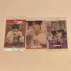 enhypen ウエハース ステッカー ソンフン