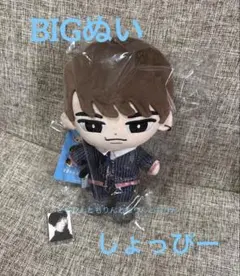 【SnowMan 】すのチルぶら下がらないシリーズ BIGぬいVer. 渡辺翔太