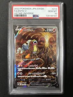 【PSA10】エンテイV SAR 213/172 VSTARユニバース