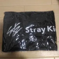2026年最新】straykids タオルの人気アイテム - メルカリ