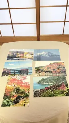 Item thumbnail for item 6e2fb2e6-8df1-4c14-82d9-0d45df74b784