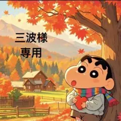 三波様 リクエスト 12点 お取り置き中