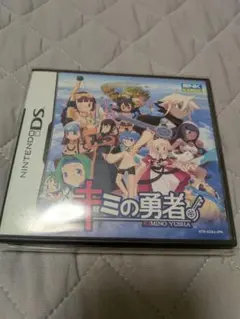 キミの勇者 Nintendo DS ソフト