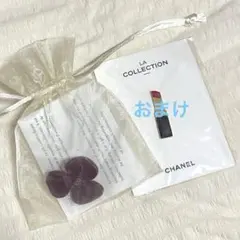 アレクサンドルドゥパリ ベルベット スワロフスキー シュシュ 黒