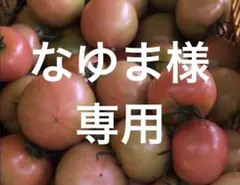 なゆま様　専用　10キロのサムネイル