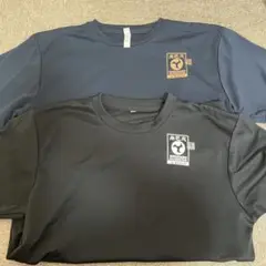 尚巴志ハーフマラソン　2019 Tシャツ L 2枚セット