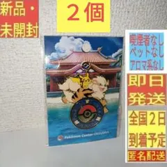 2025年最新】ポケモンセンターオキナワ ピンズの人気アイテム