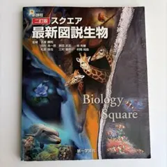Channn様 リクエスト 2点 まとめ商品
