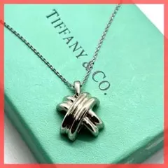 2025年最新】ティファニーシグネチャーネックレスの人気アイテム