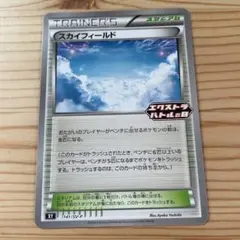 スカイフィールド