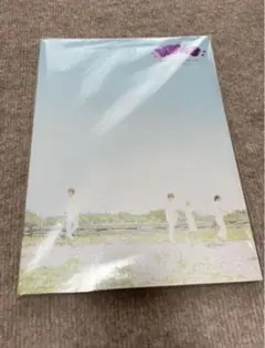 NEWS グッズ パンフレット 美恋