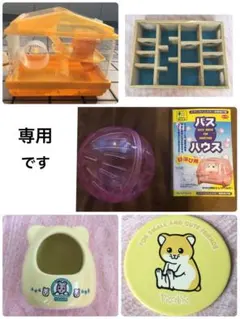 鬼塚正守様専用　ハムスター用品おまとめ　ご予約品