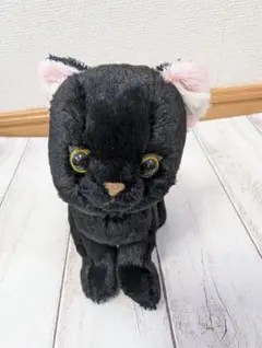 クロネコ キトン ぬいぐるみ P-7551 サンレモン くろねこ 黒猫 ねこ