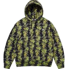 Supreme The North Face Leaf Hoodie タグ付き
