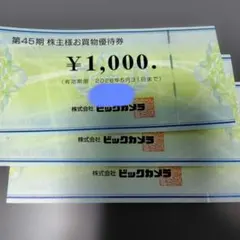 ビックカメラ　株主優待　3000円分