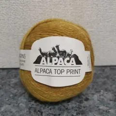 Item thumbnail for item 3c2567f2-b793-4a86-b137-3c99c1ff27f7