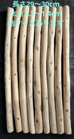 Item thumbnail for item 433800d9-edef-4e4e-bafe-081e72073644