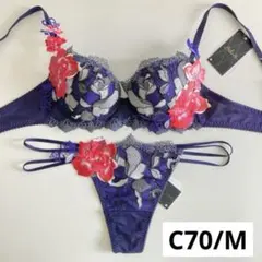 サルート　リボンの騎士　C75/L　GY　86　P-upブラ　ソング　タンガ サルート リボンの騎士 C75/L GY 86 P-upブラ ソング タンガ レディース