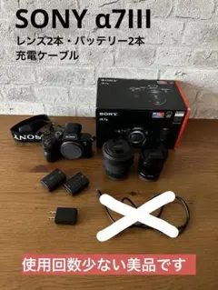 2025年最新】sony a7iii レンズキットの人気アイテム - メルカリ