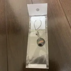 浦和レッズ　キーホルダー