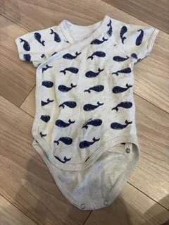 Item thumbnail for item 28a7897f-68c5-4832-a853-8153864f4b1b