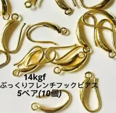 14kgf ぷっくりフックピアス 5ペア（10個）