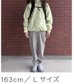 新品タグ付 THE NORTH FACE マウンテンカラーパンツ sizeLのサムネイル