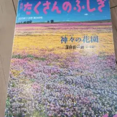 たくさんのふしぎ 368号 神々の花園