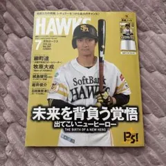 月刊ホークス　まとめ売り　グッズ等 月刊ホークス