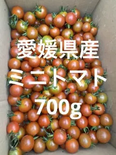 ミニトマト　1kgのサムネイル