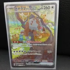 ガチグマアカツキex SAR 091/066