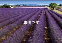 【専用】リクイール　セットのサムネイル