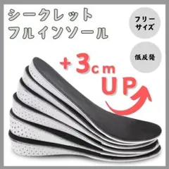 【3cm UP】 シークレットインソール 中敷き 身長アップ レディース メンズ